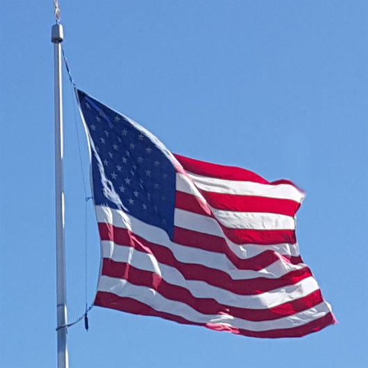 50′ Freedom Series Flagpole – Flag Corps, Inc. Flags & Flagpoles