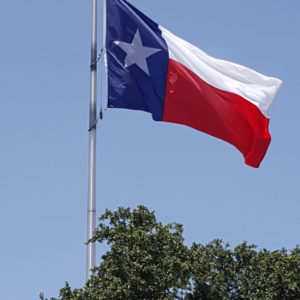 Texas Flags | Nylon
