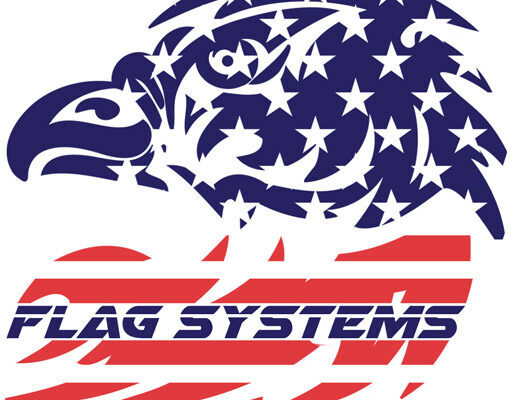 Eagle silhouette with American flag design.